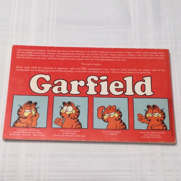 Garfield at large His First Book by Jim Davis 1978 - Picture 3 of 5